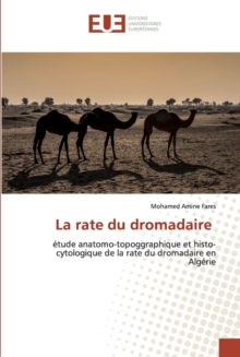 Image for La rate du dromadaire