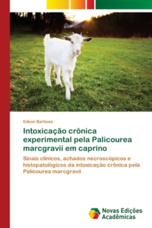 Image for Intoxicacao cronica experimental pela Palicourea marcgravii em caprino