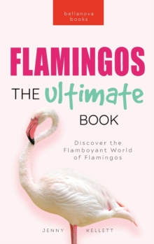 Image for Flamingos The Ultimate Flamingo Book for Kids