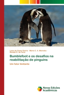 Image for Bumblefoot e os desafios na reabilitacao de pinguins