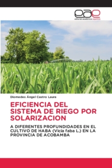 Image for Eficiencia del Sistema de Riego Por Solarizacion