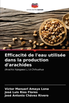 Image for Efficacite de l'eau utilisee dans la production d'arachides
