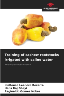 Image for Training of cashew rootstocks irrigated with saline water