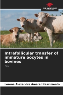 Image for Intrafollicular transfer of immature oocytes in bovines
