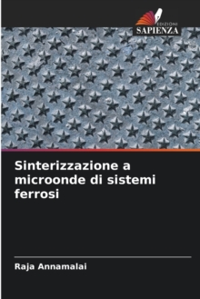 Image for Sinterizzazione a microonde di sistemi ferrosi