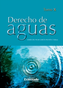 Image for Derecho De Aguas Tomo X
