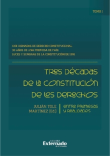 Image for Tres Decadas De La Constitucion De Los Derechos: Entre Promesas Y Realidades