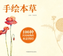 Image for Hand-Drawn Traditional Chinese Medicines