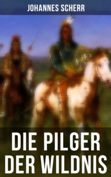 Image for Die Pilger der Wildnis: Historischer Abenteuerroman