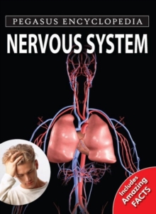 Image for Nervous system