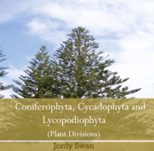 Image for Coniferophyta, Cycadophyta and Lycopodiophyta (Plant Divisions)
