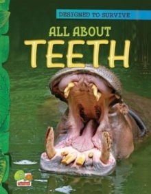 Image for All About Teeth: Key stage 1