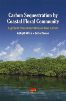 Image for Carbon Sequestration by Coastal Floral Community