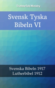 Image for Svensk Tyska Bibeln VI: Svenska Bibeln 1917 - Lutherbibel 1912