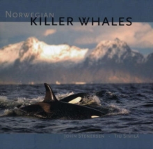 Image for Norwegian Killer Whales