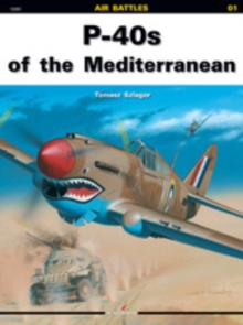 Image for P-40s of the Mediterranean