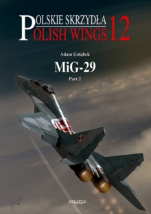 Image for MiG-29