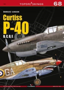 Image for Curtiss P-40 B, C, D, E