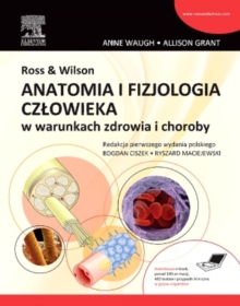 Image for Ross & Wilson. Anatomia i fizjologia czlowieka w warunkach zdrowia i choroby