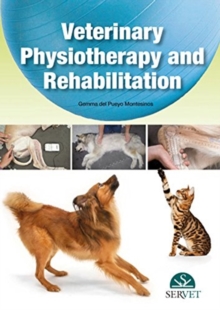 Image for Veterinary physiotherapy and rehabilitation