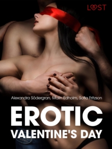 Image for Erotic Valentine s Day - 5 erotische verhalen