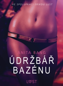 Image for Udrzbar bazenu - Sexy erotika