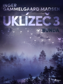 Image for Uklizec 3: Bunda