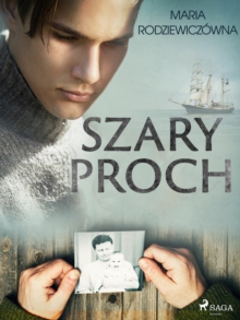 Image for Szary proch