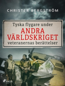 Image for Tyska Flygare Under Andra Varldskriget: Veteranernas Berattelser