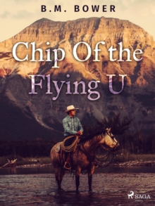 Image for Chip Of the Flying U