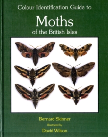 Image for Colour Identification Guide to the Moths of the British Isles