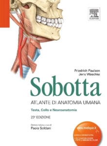 Image for Sobotta - Atlante di Anatomia Umana: Testa, Collo e Neuroanatomia