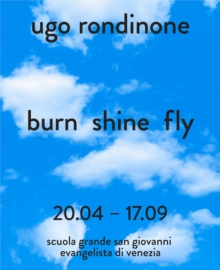 Image for Ugo Rondinone - burn shine fly