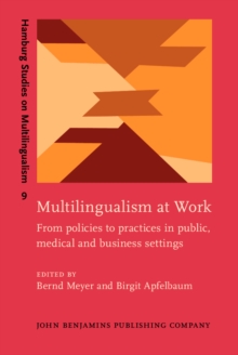 Image for Multilingualism at work: from policies to practices in public, medical and business settings