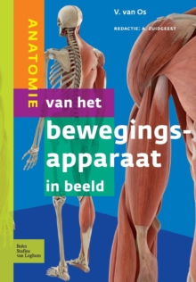 Image for Anatomie Van Het Bewegingsapparaat in Beeld