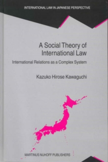Image for A social theory of international law