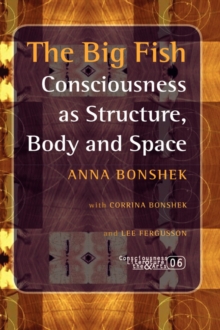 Image for The Big Fish : Consciousness as Structure, Body and Space