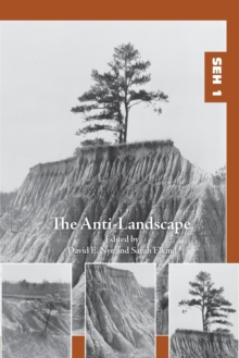 Image for The Anti-Landscape