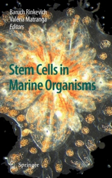 Image for Stem Cells in Marine Organisms