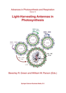 Image for Light-harvesting antennas in photosynthesis