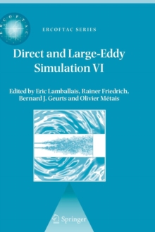 Image for Direct and Large-Eddy Simulation VI