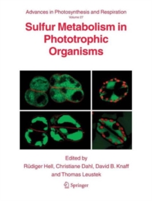 Image for Sulfur Metabolism in Phototrophic Organisms
