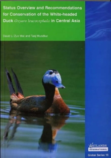 Image for Status Overview and Recommendations for Conservation of the White-headed Duck Oxyura leucocephala in Central Asia