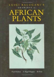 Image for Luigi Balugani's Drawings of African Plants