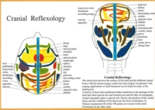 Cranial Reflexology — A4