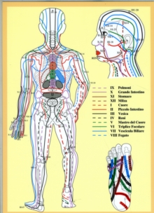 Masunaga Zen Shiatsu Ketsu — A4: Zen Shiatsu Ketsu