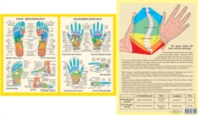 Hand & Foot Reflexology — A4