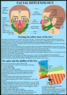 Image for Facial Reflexology -- A4