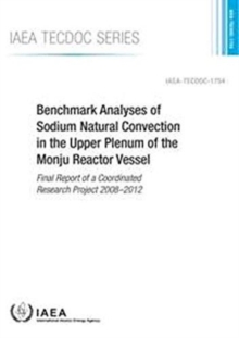 Image for Benchmark analyses of sodium natural convection in the upper plenum of the Monju Reactor Vessel