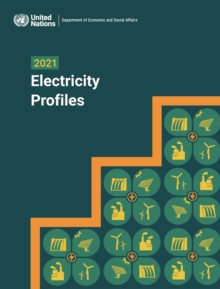 Image for 2021 Electricity Profiles